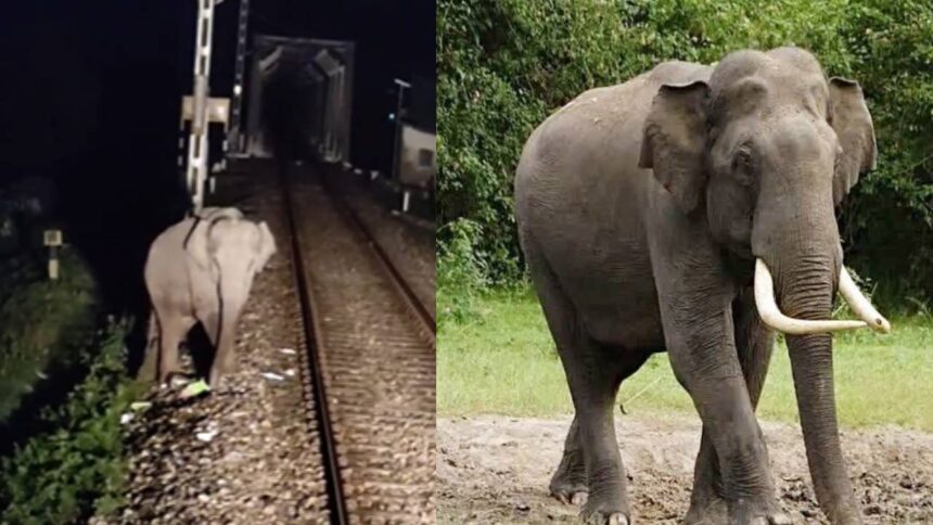 Indian Railways