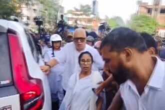 Kalighat TMC Michhil