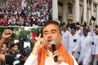 MLA Protest