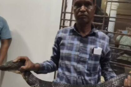 Nagrakata