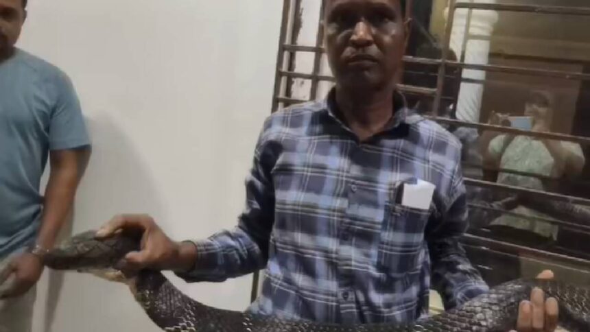 Nagrakata
