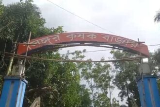 Singur