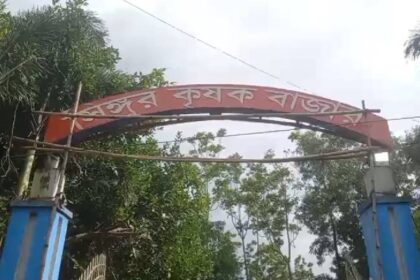 Singur