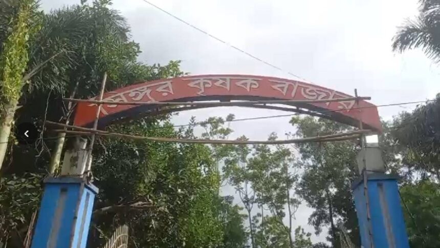Singur
