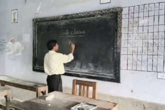 Govt Teacher
