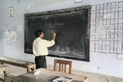 Govt Teacher