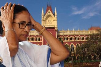 TMC Fund