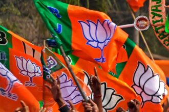 BJP Central Committee