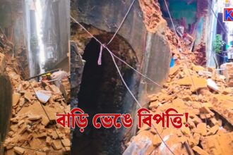 Building Collapses