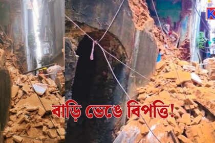 Building Collapses