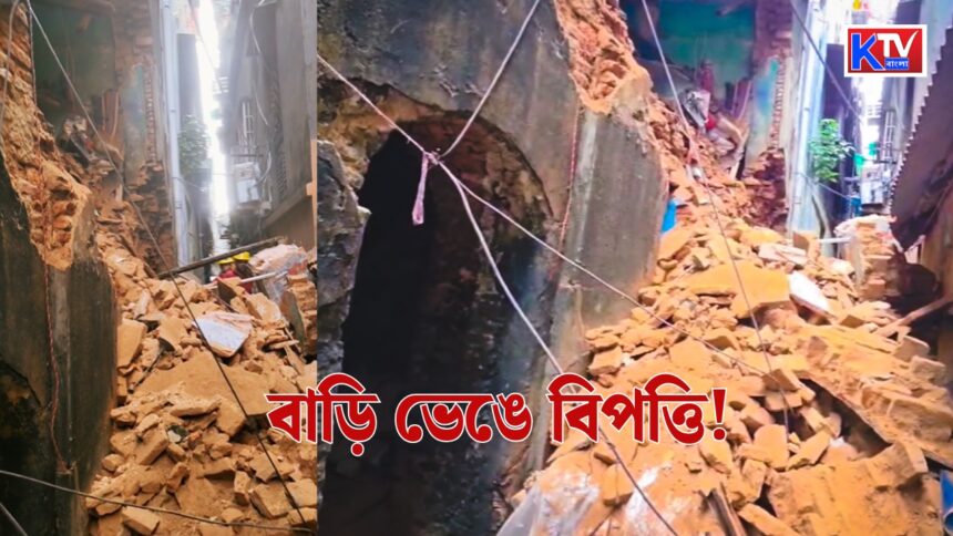 Building Collapses