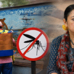 Dengue Prevention