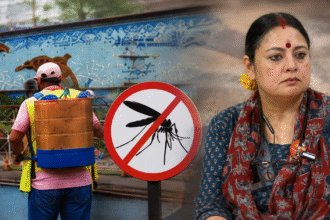 Dengue Prevention