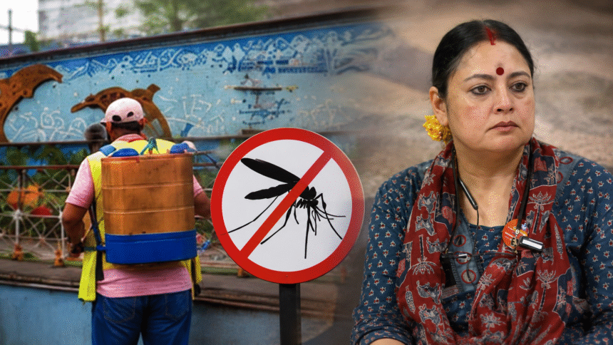 Dengue Prevention