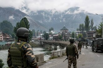Kashmir Article