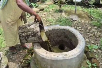 Biogas Production