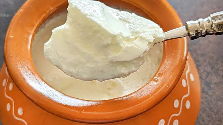 Curd Myth