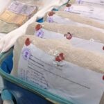 Ganja Smuggling Arrests