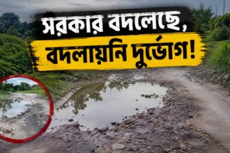 Road Neglect Siliguri
