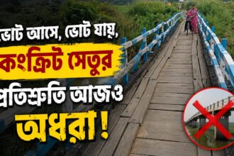 Bridge Promise Pandua