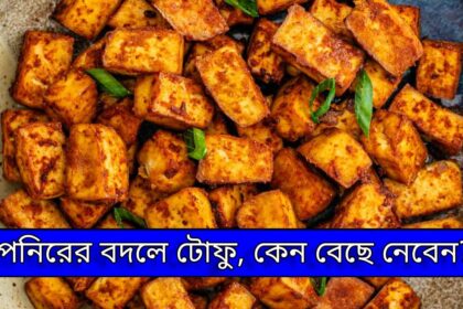 Tofu