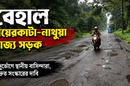 Road Accident