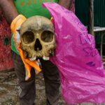 Human Skull Mystery