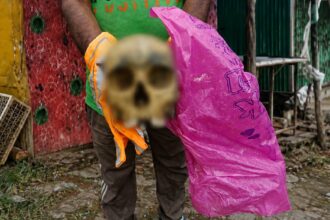 Human Skull Mystery