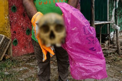Human Skull Mystery
