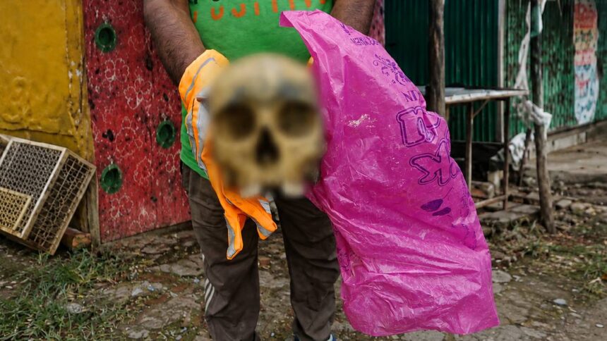 Human Skull Mystery
