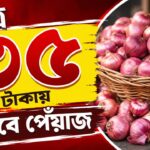 Onion Price