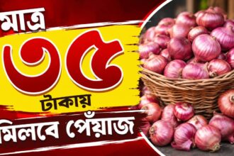 Onion Price