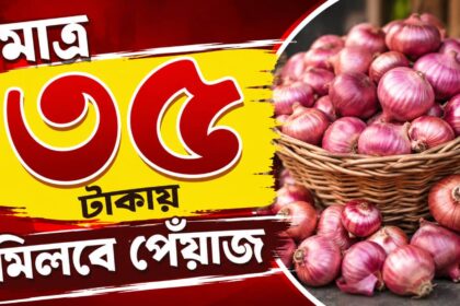 Onion Price
