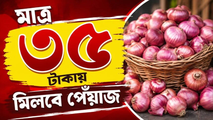 Onion Price