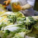 North China Cabbage