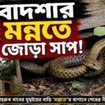 SRK Mannat Snake