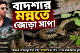 SRK Mannat Snake