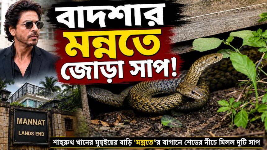 SRK Mannat Snake