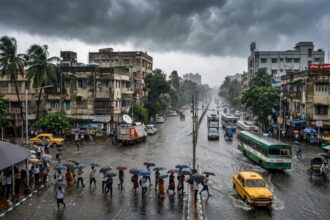 Heavy Rain Alert