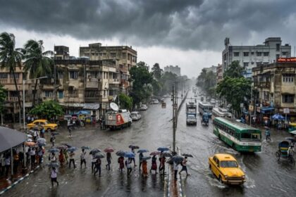 Heavy Rain Alert