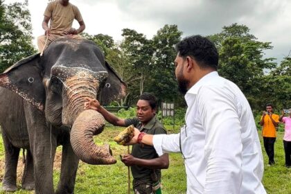 World Elephant Day