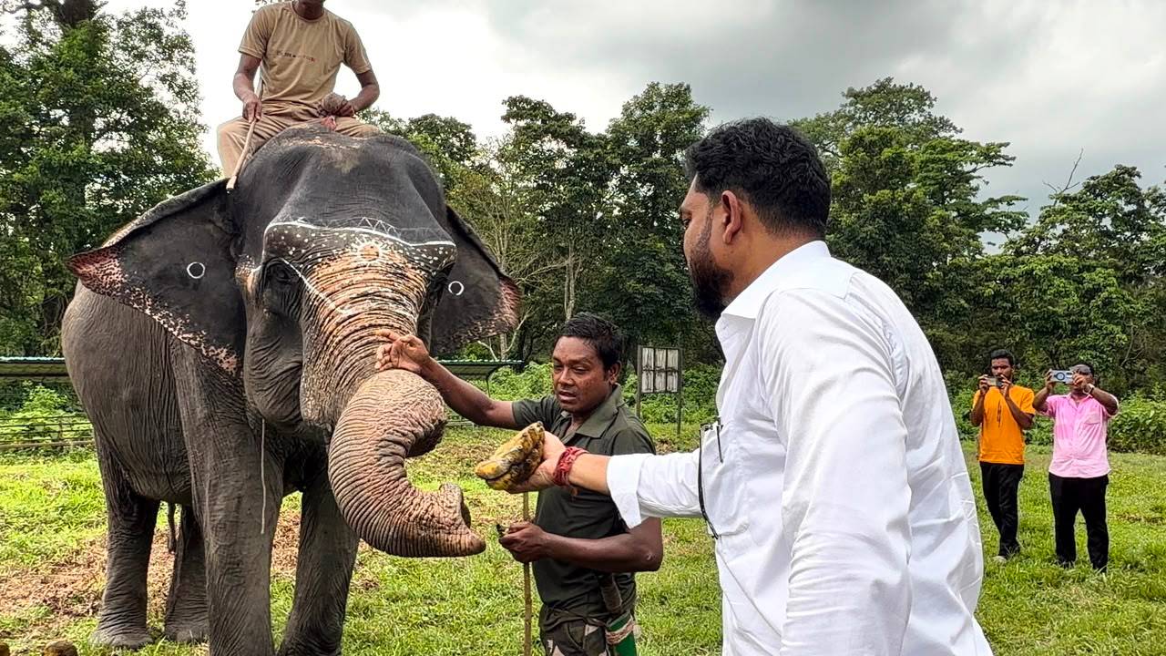 World Elephant Day