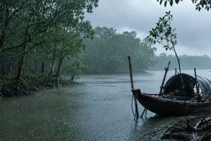 Sundarbans Weather