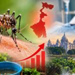 Dengue Alert
