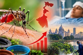 Dengue Alert
