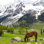Kashmir Tourism