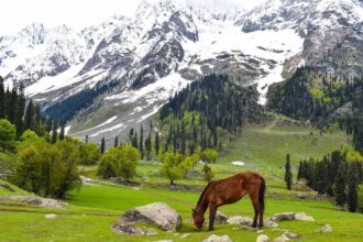 Kashmir Tourism