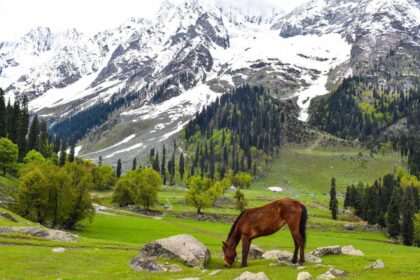 Kashmir Tourism
