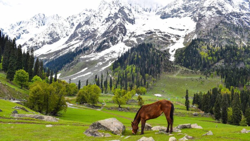Kashmir Tourism