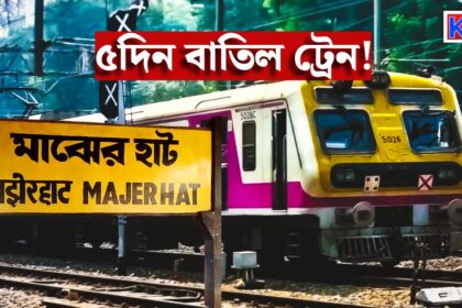 Local Train